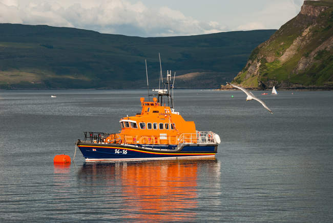 Reino Unido, Escocia, Highland, Portree, Portree Port, barco naranja y gaviota voladora - foto de stock