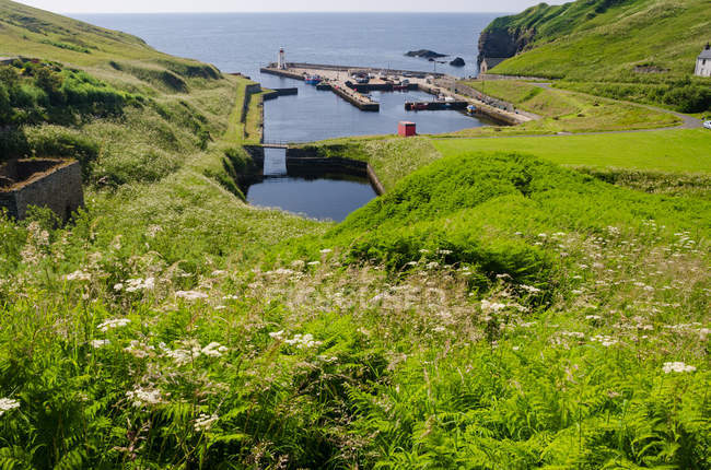 Reino Unido, Escocia, Highlands, Lybster, Lybster of Caithness en el norte de Escocia, faro en el antiguo puerto pesquero en la costa verde - foto de stock
