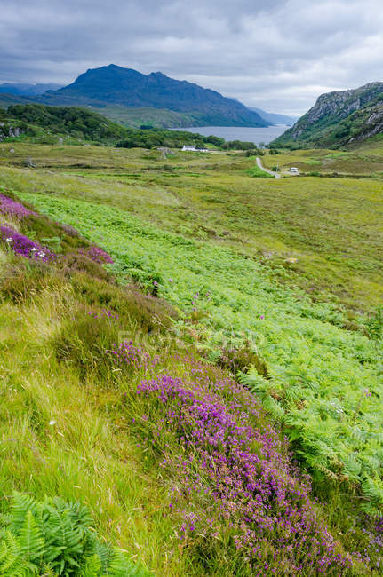 Vereinigtes Königreich, Schottland, Hochland, Gairloch, Reisen im Hochland bei Achnasheen, grüne Wiese und Bergblick im Hintergrund — Stockfoto