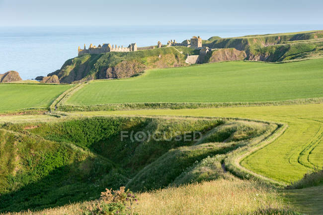 Vereinigtes Königreich, Schottland, Aberdeenshire, Steinhafen, Burgruinen von Dunnottar an grüner grasbewachsener Meeresküste im Sonnenlicht — Stockfoto