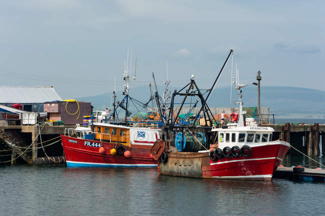 Reino Unido, Escocia, Highland, Cromarty, Puerto de Cromarty en Isla Negra con barcos amarrados en un puerto - foto de stock