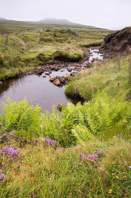 Piccolo torrente sull'Isola di Skye, Highland, Scozia, Regno Unito — Foto stock