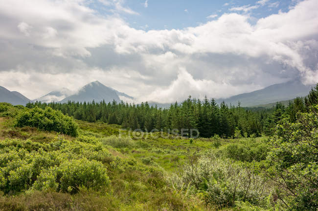 Regno Unito, Scozia, Highland, Isola di Skye — Foto stock