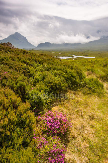 Reino Unido, Escocia, Highland, Isla de Skye, Viajar en Isla de Skye, paisaje natural escénico con montañas, bosque y prado cubierto de hierba en la niebla - foto de stock