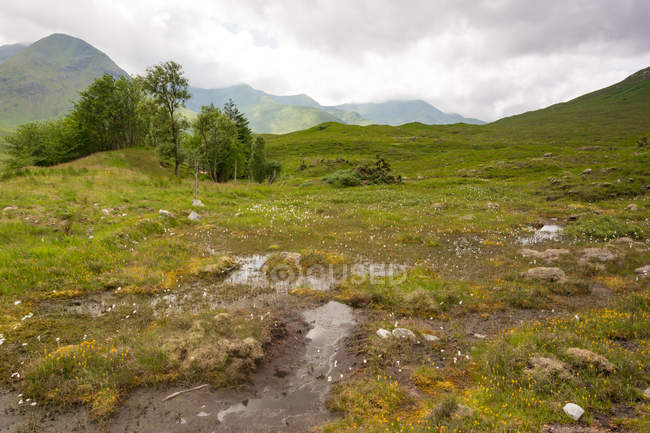 Великобритания, Шотландия, Highland, Inhabess, En route Highland at Inhabess, зеленый горный ландшафт — стоковое фото