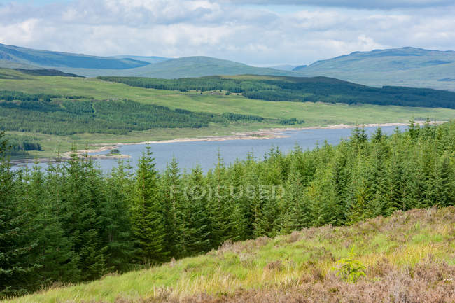 Reino Unido, Escocia, Highland, Invergarry, Highland Highlands at Invergarry - foto de stock