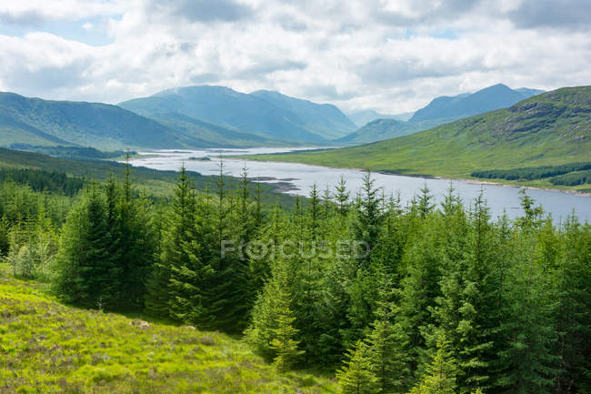 United Kingdom, Scotland, Highland, Invergarry, Highland Highlands at Invergarry — Stock Photo