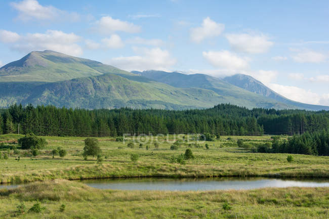 Reino Unido, Escócia, Highland, Spean Bridge, Na estrada em Highland em Spean Bridge, paisagem cênica com floresta — Fotografia de Stock