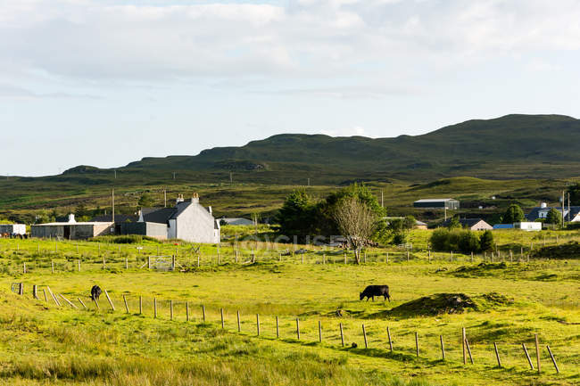 Reino Unido, Escocia, Highlands, Isla de Skye, Portree, Green Fields at Loch Snizort - foto de stock