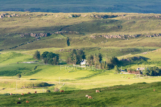 Royaume-Uni, Écosse, Highlands, Isle of Skye, Portree, Green Fields au Loch Snizort — Photo de stock