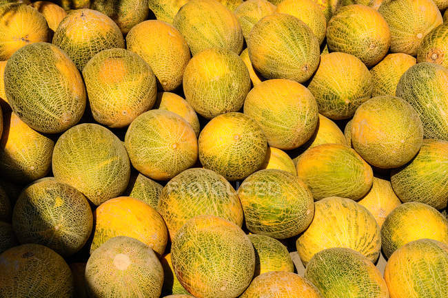 Pile de melons frais en plein soleil — Photo de stock