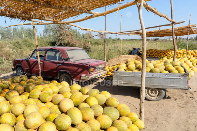 Uzbekistan, provincia di Buxoro, Jondor tumani, commercianti di meloni lungo la strada, auto con rimorchio — Foto stock