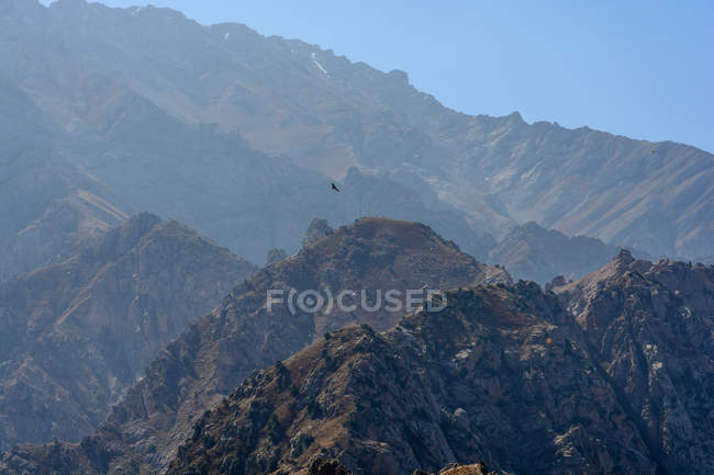 Uzbequistão, Província de Tashkent, Bustonlik tumani, Caminhadas nas Montanhas Chimgan — Fotografia de Stock