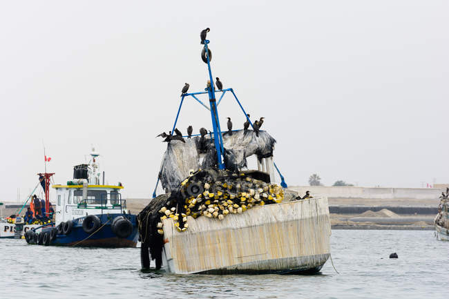 Perú, Ica, Pisco, Las Islas Ballestas, barco por una construcción de boya con aves - foto de stock