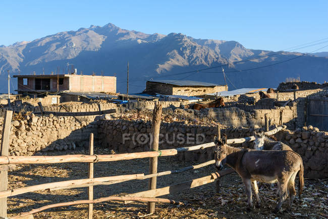 Peru, Arequipa, Cabanaconde, mountain village Cabanaconde, viewpoint Cruz del Condor in Colca Canyon — Stock Photo