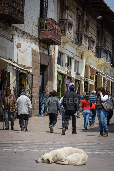 Personnes se promenant dans la rue avec un chien-couchette, Cuzco, Pérou — Photo de stock