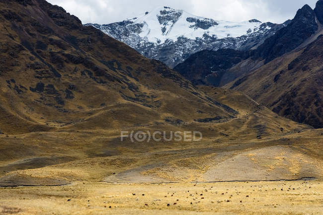 Перу, Пуно, Ла-Рая-Пасс, пустынный горный ландшафт и снежная вершина на заднем плане — стоковое фото
