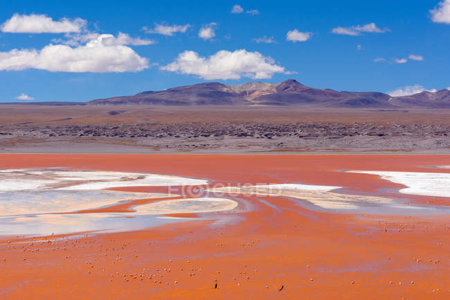 Bolivia, Laguna Colorada paesaggio panoramico con fenicotteri al lago — Foto stock