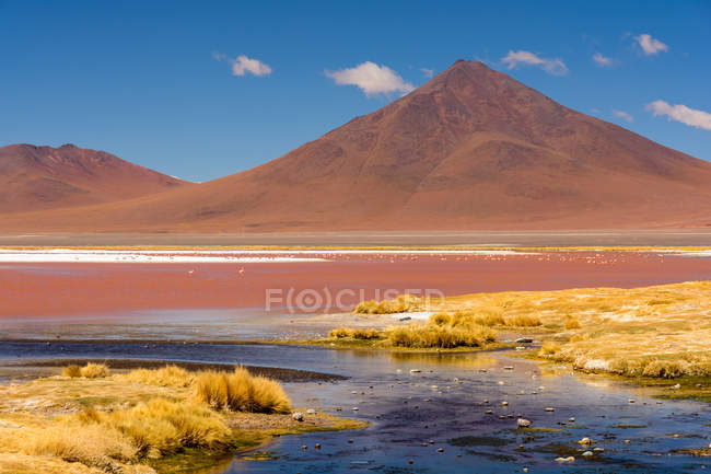 Болівія, Лагуна Колорадо мальовничий краєвид з гори на фоні і фламінго на березі озера — стокове фото