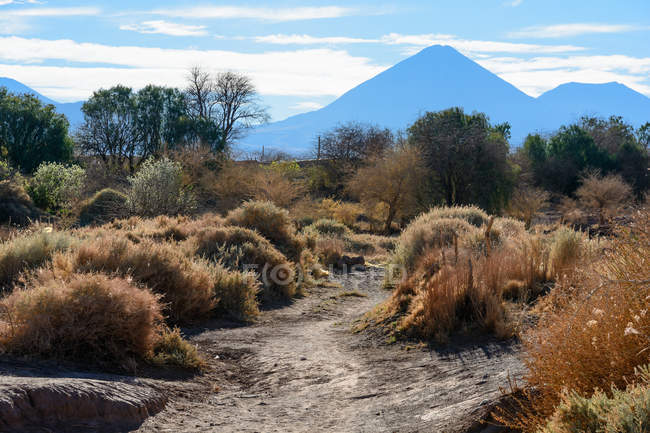 Чилі, де Regio Антофаґаста, San Pedro de Atacama, краєвид Пустельно з видом на вулкан Ліканкабур в фоновому режимі — стокове фото