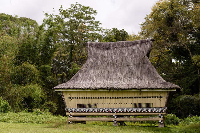 Индонезия, Суматра Утара, Кабоц Самосир, Симуалун-Королевский дворец — стоковое фото