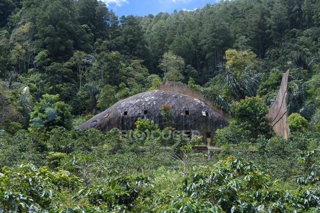 Indonesia, Sumatera Utara, Kabodaten Samosir, casa della morte nella foresta — Foto stock