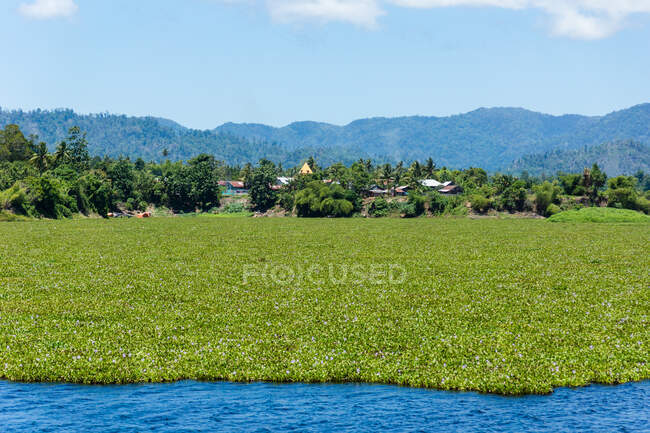 Indonésie, Maluku Utara, Kabupaten Halmahera Utara, Landsdchaft près du lac près de Galela dans le nord de Molikken — Photo de stock