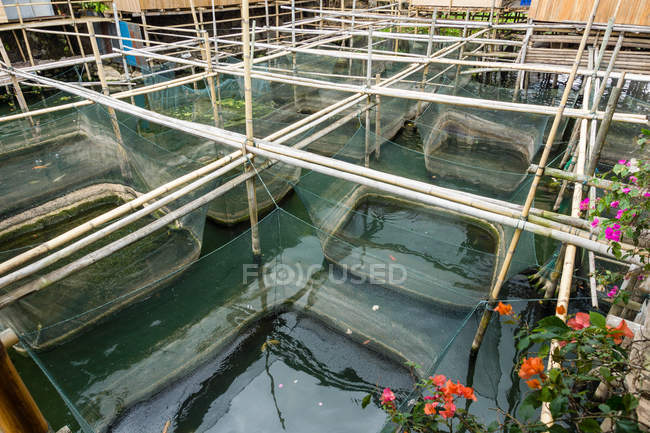 Indonésie, Sulawesi Utara, Kabupaten Minahasa, piscine de poissons dans le lac Danau Tondano sur Sulawesi Utara — Photo de stock