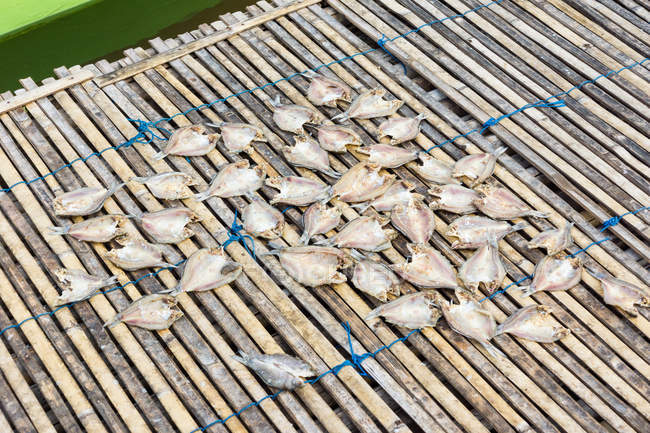 Indonesia, Sulawesi Selatan, Kabupaten Soppeng, Pesce tagliato per il consumo, Lago Danau Tempe — Foto stock