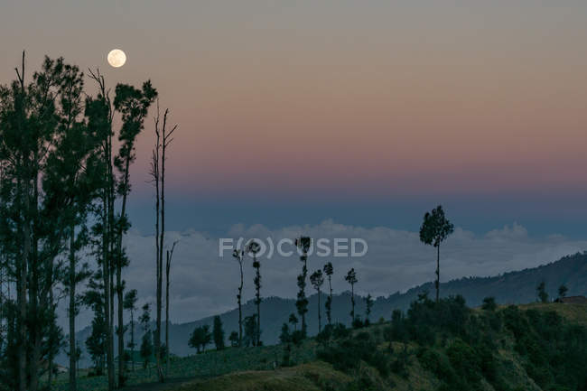 Indonesia, Java Timur, Probolinggo, luna llena sobre las nubes en el volcán Bromo - foto de stock