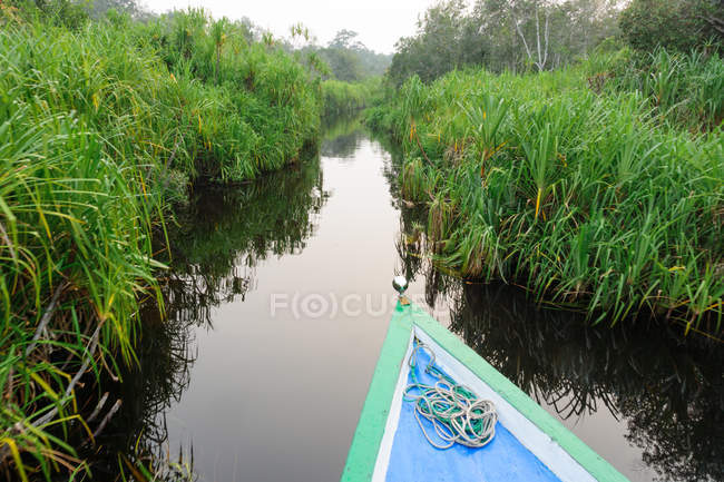 Indonesia, Kalimantan, Borneo, Kotawaringin Barat, Tanjung Puting National Park, En barco por el río Sekonyer - foto de stock