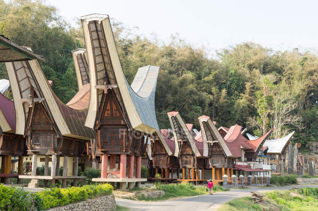 Indonésia, Sulawesi Selatan, Toraja Utara, túmulo, Torajaland — Fotografia de Stock