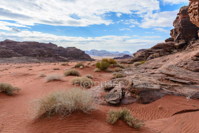 Jordan, Aqaba Gouvernement, Wadi Rum, Wadi Rum is a desert high plateau in South Jordan. Scenic desert landscape with grass hummocks — Stock Photo