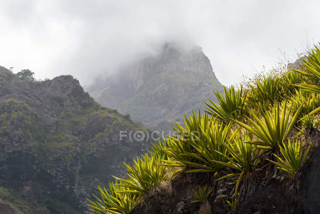 Cape Verde, Santo Antao, Paul, hike way in green Valle do Paul — Stock Photo