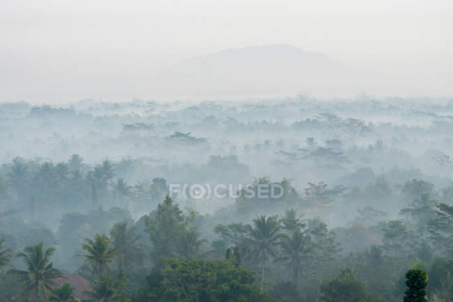 Индонезия, Java Tengah, Magelang, view from the temple, Buddhist temple, le complex of Borobudur — стоковое фото