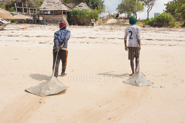 Tanzania, Zanzibar City, Beach, men catching slopes — Stock Photo