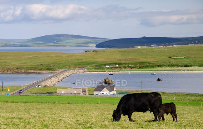 United Kingdom, Scotland, Churchill Barriers on Orkney Islands — Stock Photo