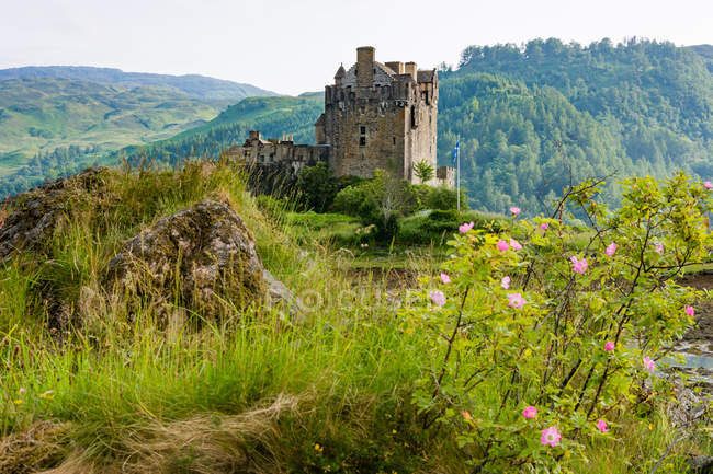Reino Unido, Escócia, Highland, Dornie, Loch Duich, Eilean Donan Castle in green landscape — Fotografia de Stock