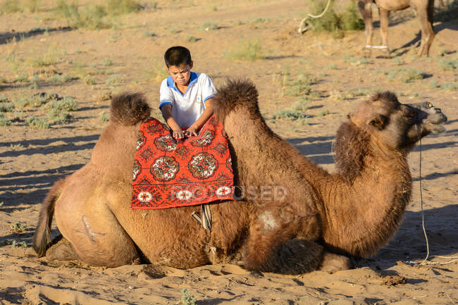 Uzbekistán, Nurota tumani, hijo del conductor de camello - foto de stock