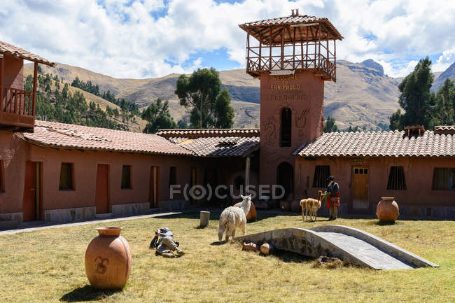 Peru, Puno, vom Cusco bis zum Titicacasee, Alpakas auf dem Bauernhof, Berge im Hintergrund — Stockfoto