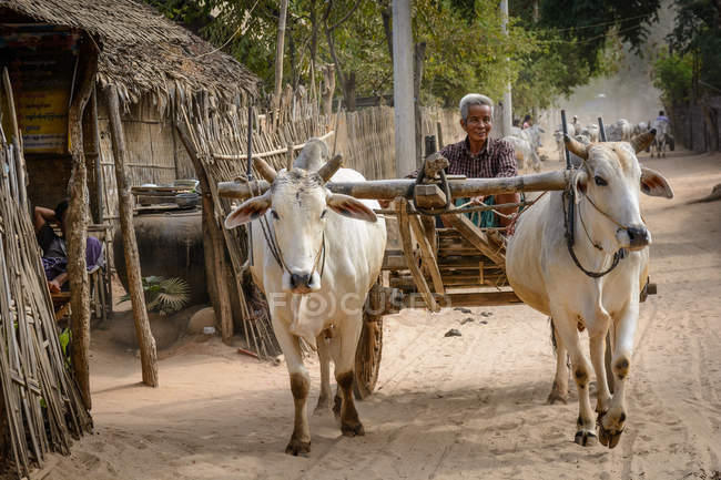 Myanmar (Birmânia), região de Mandalay, Taungtha, Taung Ba, província de Mandalay — Fotografia de Stock