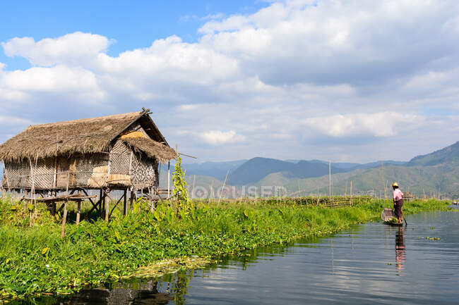 М'янма (Бірма), Шань, Taunggyi, подорож на човні по озеру озері Інле — стокове фото