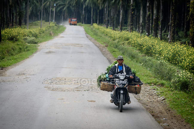 Homem na condução ciclomotor na estrada rural perto de plantação de palmeiras, Kabul Langkat, Sumatera Utara, Indonésia — Fotografia de Stock