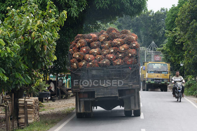 Indonesia, Sumatera Utara, Kabul Langkat, camiones y hombres en moto en carretera - foto de stock
