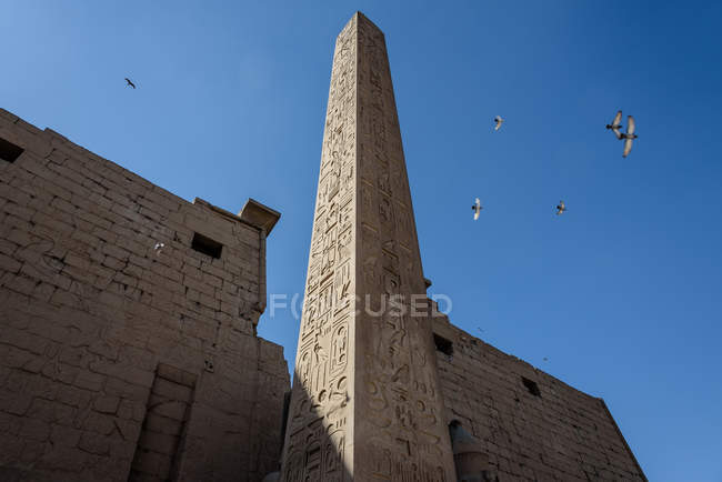 Єгипет, Луксор Gouvernement, Луксор, skyward подання Луксорського храму — стокове фото