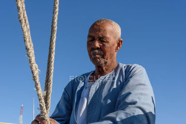 Єгипет, Асуан, вітрильник поїздки по Нілу в Китченер острів ботанічний сад — стокове фото