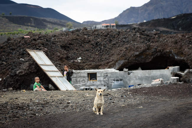 Cape Verde, Fogo, Santa Catarina, kids and dog at destroyed houses in Caldeira. — Stock Photo