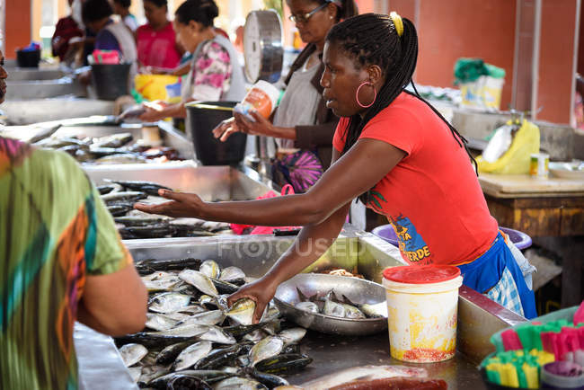 Кабо-Верде, Сао-Висенте, Миндело, люди, работающие на рыбном рынке Минделу . — стоковое фото