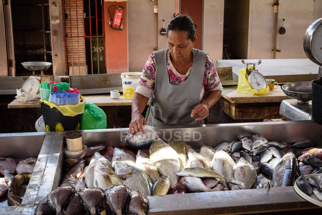 Кабо-Верде, Сао-Висенте, Миндело, женщина, работающая на рыбном рынке Минделу . — стоковое фото