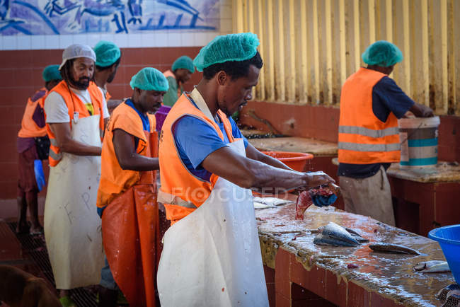 Кабо - Верде, Сан - Вісенте, Міндело, люди, які працюють на рибному ринку Міндело.. — стокове фото